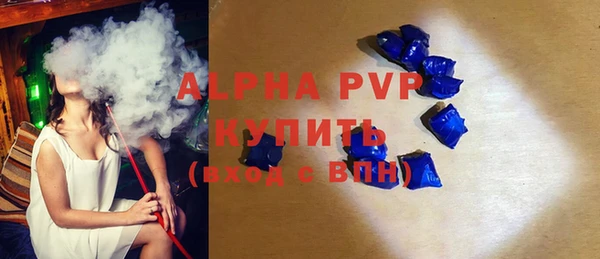 стаф Алексин