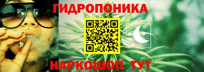 марихуана Заводоуковск