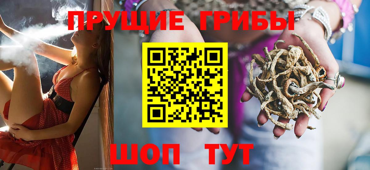 Галлюциногенные грибы GOLDEN TEACHER Нижнеудинск
